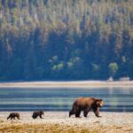PHOTOS FROM THE FIELD: Week of June 14 - 18, 2021