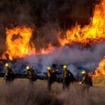 PHOTOS FROM THE FIELD: Week of June 21 - 25, 2021