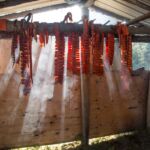 PHOTOS FROM THE FIELD: Week of October 4 - 8, 2021