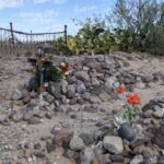 PHOTOS FROM THE FIELD: Week of November 29 - December 3, 2021