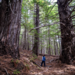 PHOTOS FROM THE FIELD: Week of February 7 - February 11, 2022
