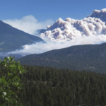 PHOTOS FROM THE FIELD: Week of June 13 – 17, 2022