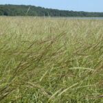PHOTOS FROM THE FIELD: Week of July 18 - 22, 2022